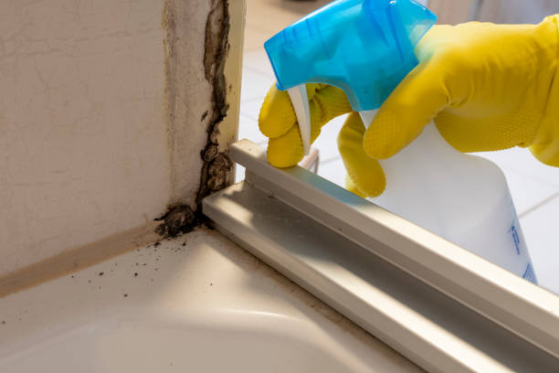 Best Biohazard Mold Removal  in Conesus Lake, NY